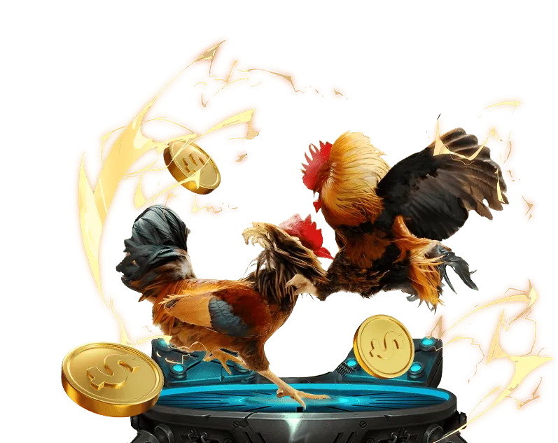 Gà chọi truyền thống Việt Nam